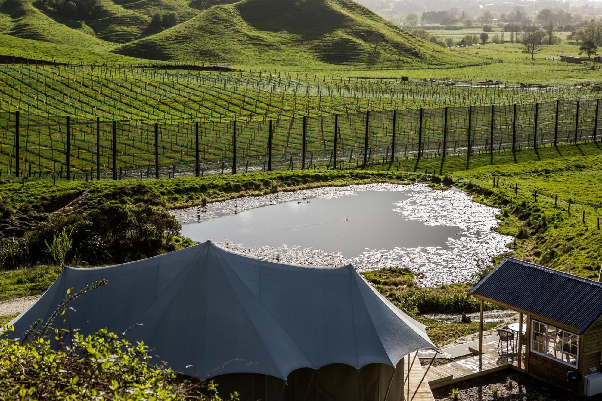 Orchard Valley Glamping Otorohanga Exterior foto